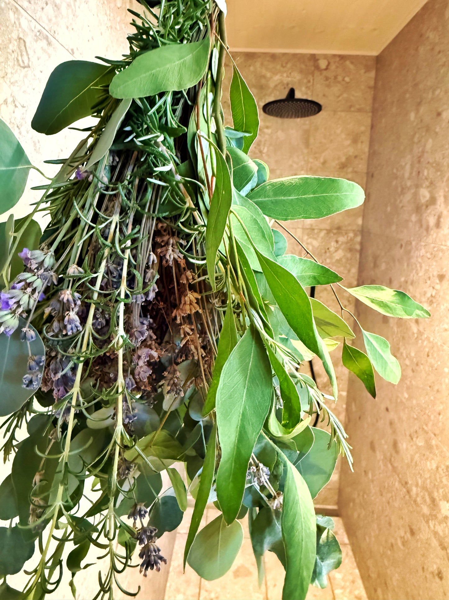 Eukalyptus Wellnessdekoration für Dusche & Sauna – Frisch & Aromatisch