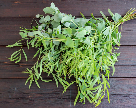 Eukalyptus Mix Collection