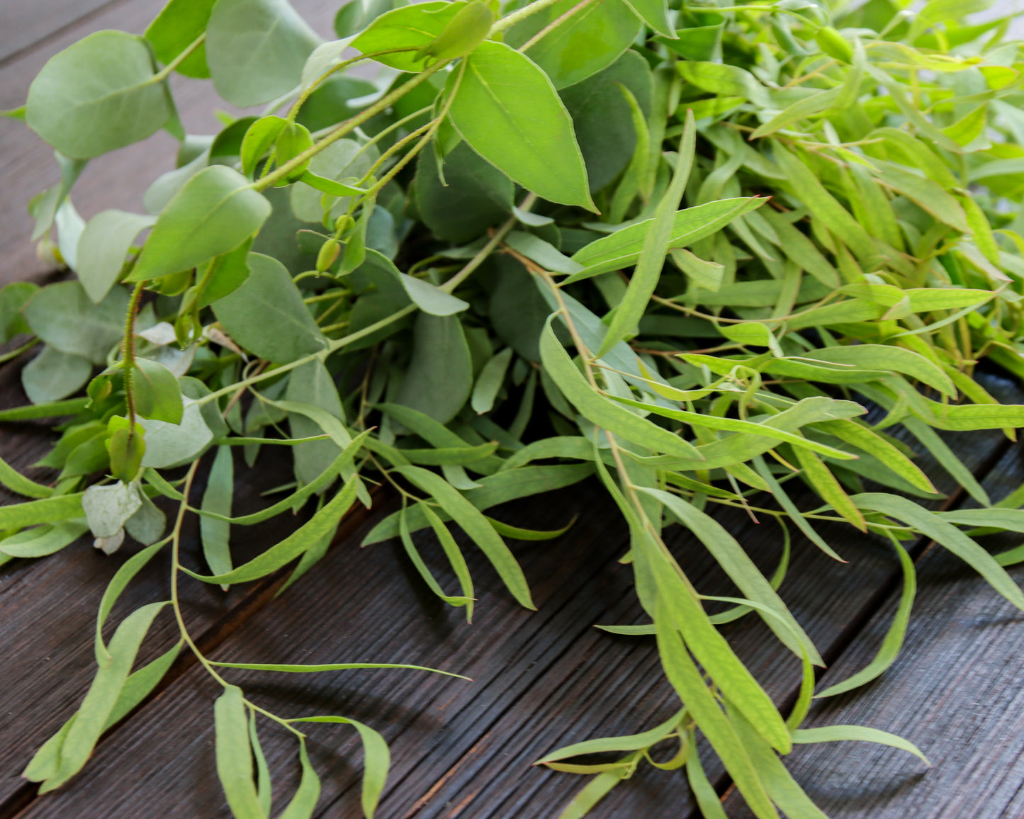 Eukalyptus Mix Collection