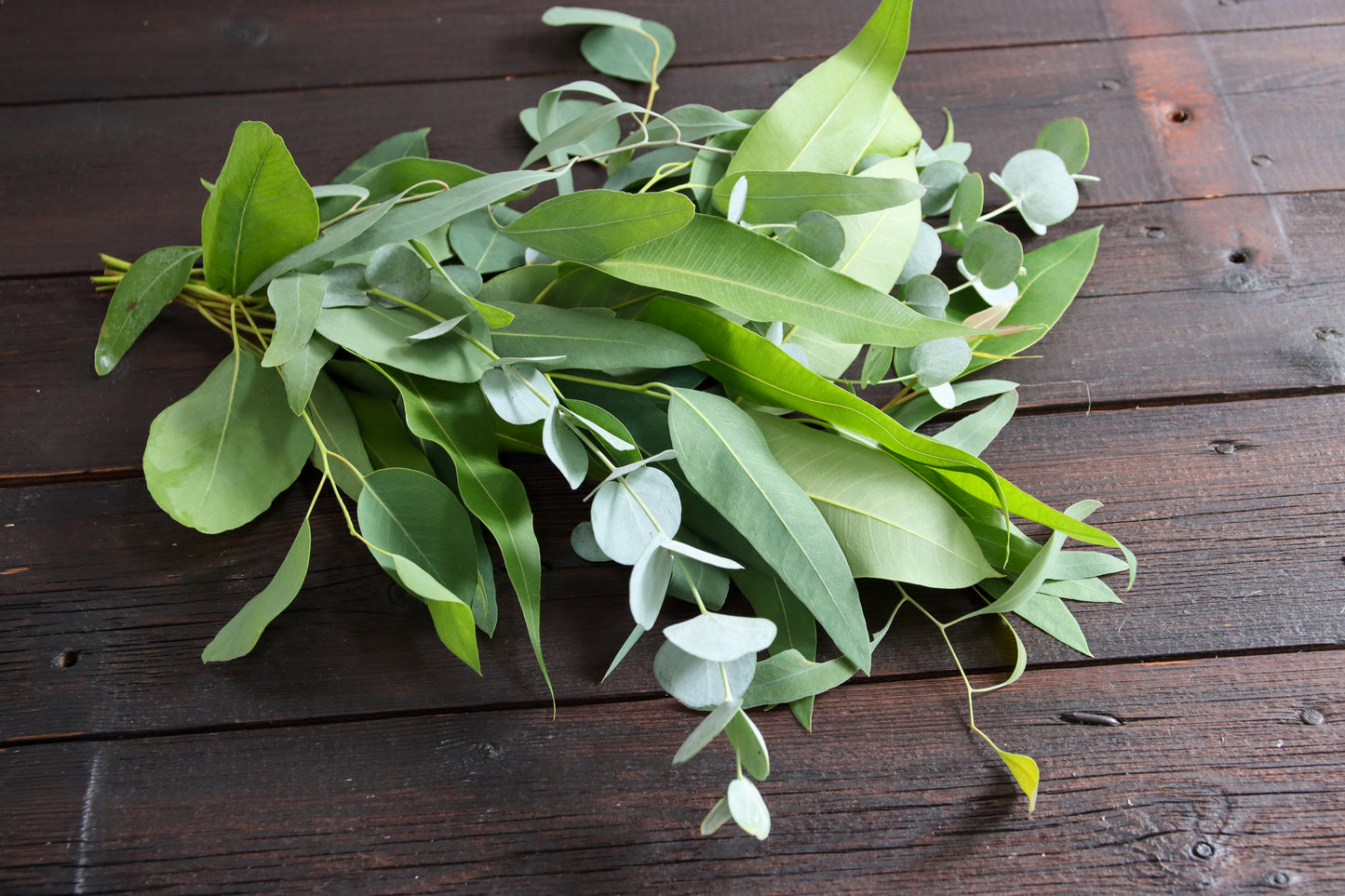 Eukalyptus Mix Collection