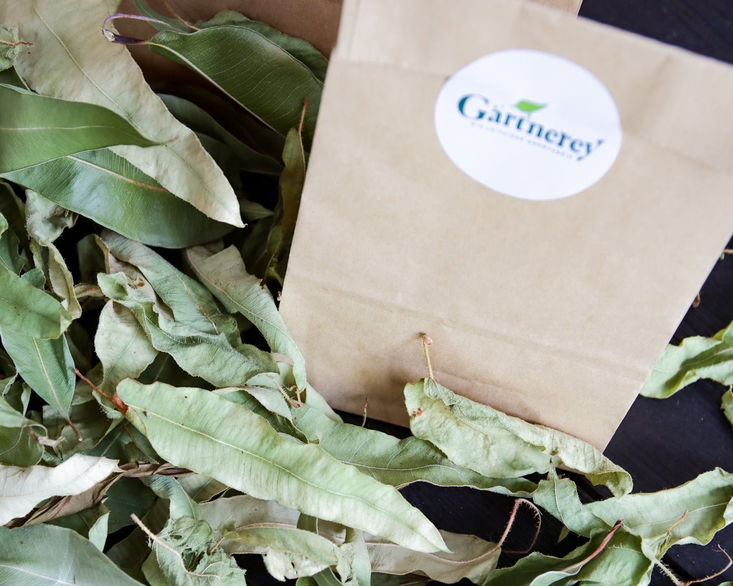 Getrockneter Zitroneneukalyptus – Aromatisch & Natürlich