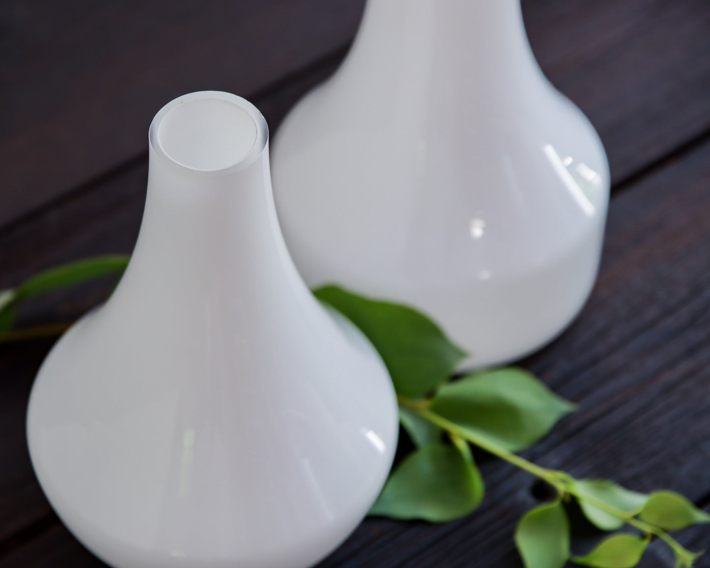 Ygnve-Set Glasgefäße für Deinen Eukalyptus