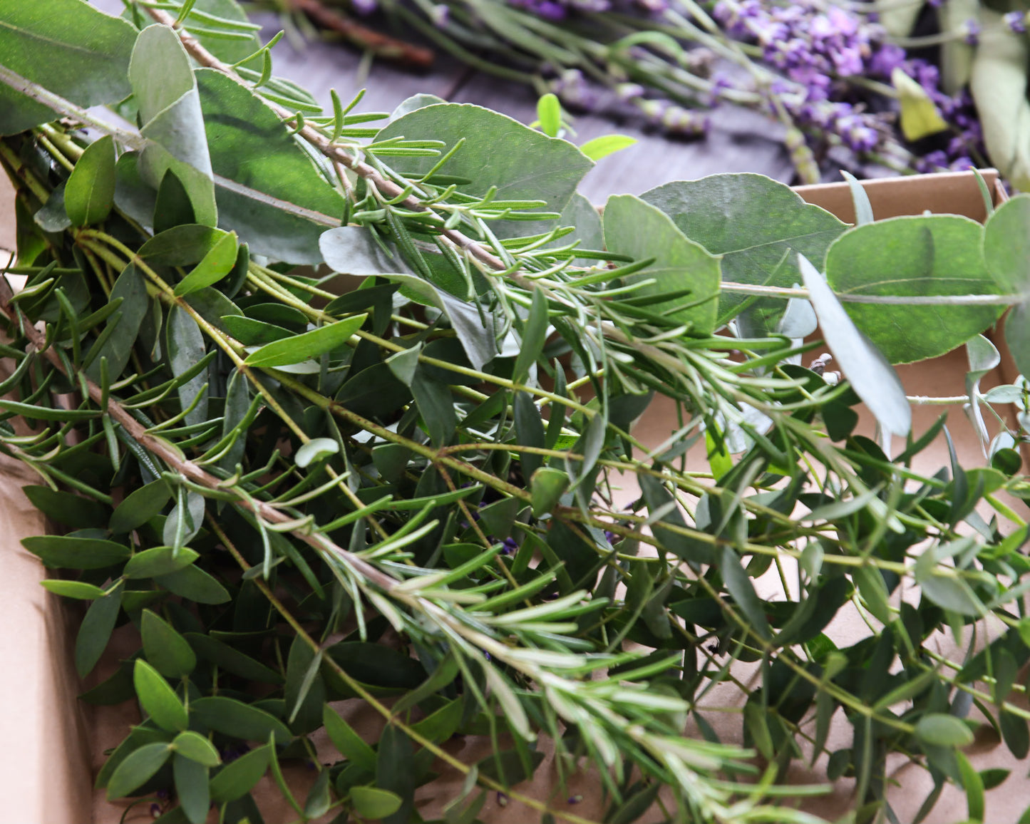 Eukalyptus Wellnessdekoration für Dusche & Sauna – Frisch & Aromatisch