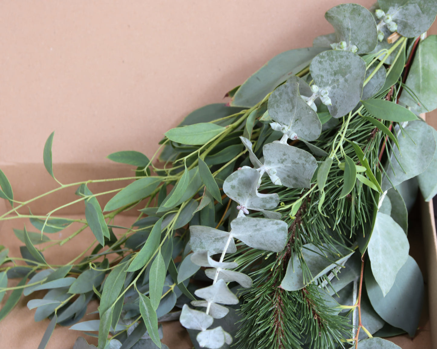 Eukalyptus Wellnessdekoration für Dusche & Sauna – Frisch & Aromatisch