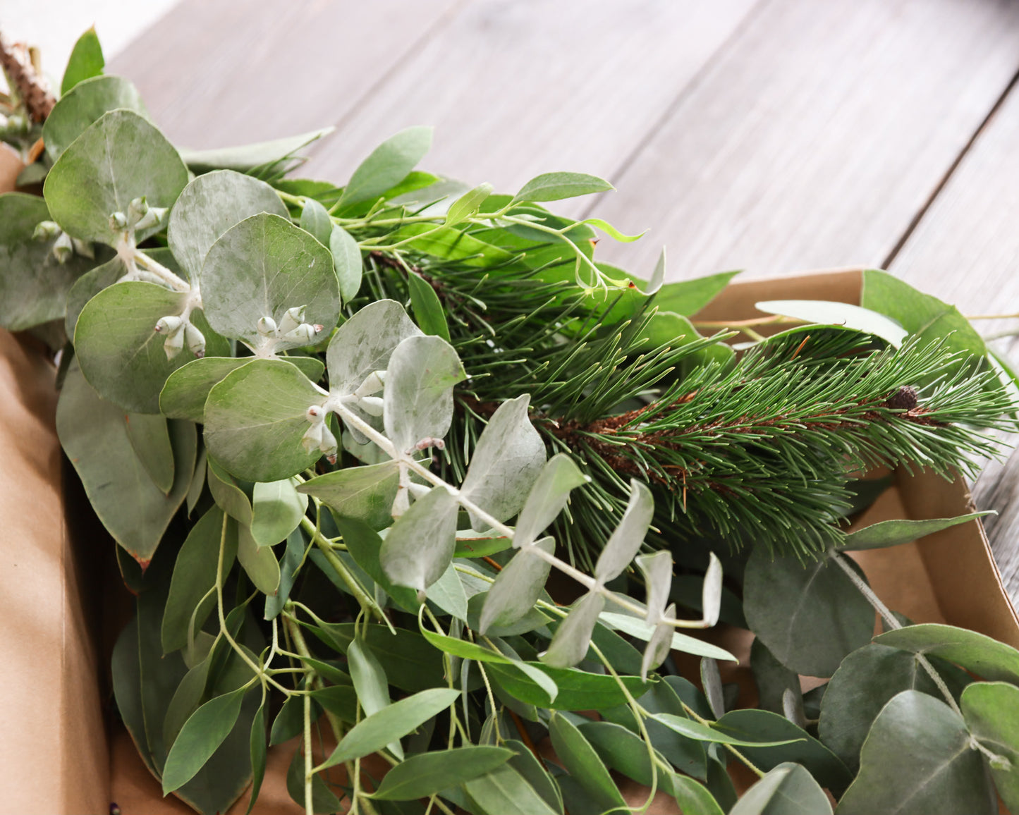 Eukalyptus Wellnessdekoration für Dusche & Sauna – Frisch & Aromatisch