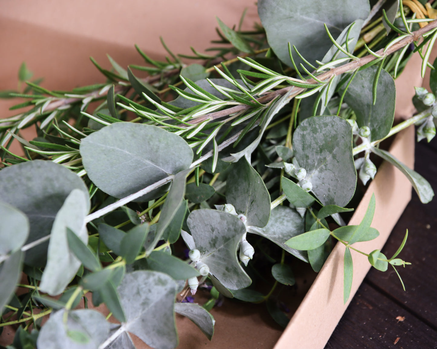 Eukalyptus Wellnessdekoration für Dusche & Sauna – Frisch & Aromatisch