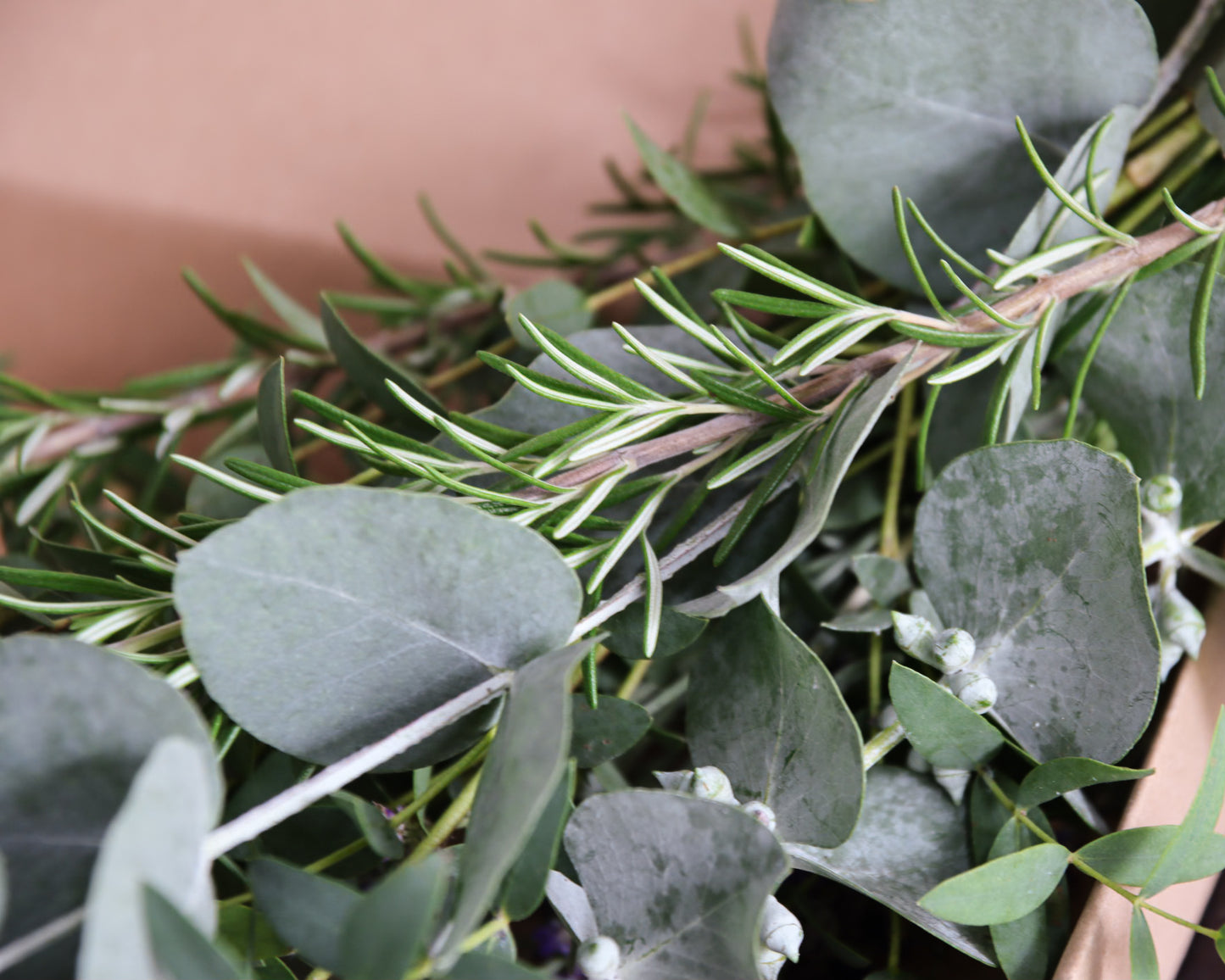 Eukalyptus Wellnessdekoration für Dusche & Sauna – Frisch & Aromatisch