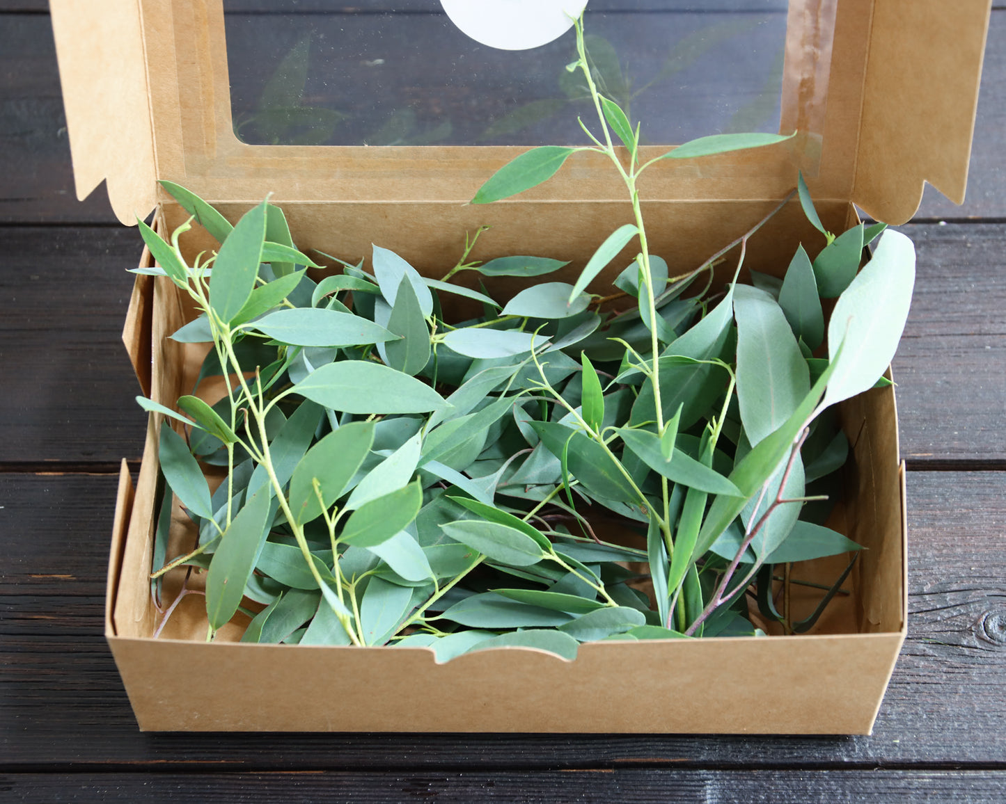 Eukalyptus-Spitzen für Deko & DIY