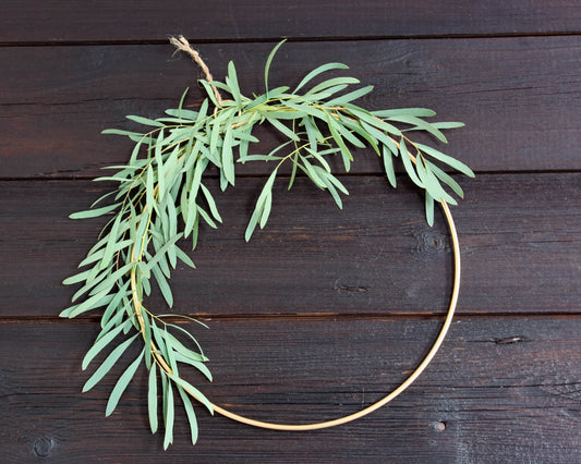 Eukalyptus-Deko Valentine