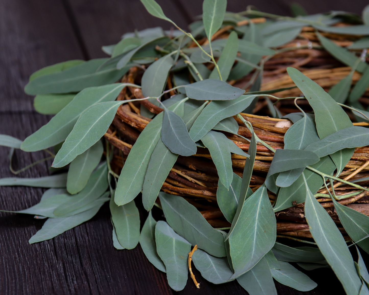 Eukalyptus Naturkranz Brigitte