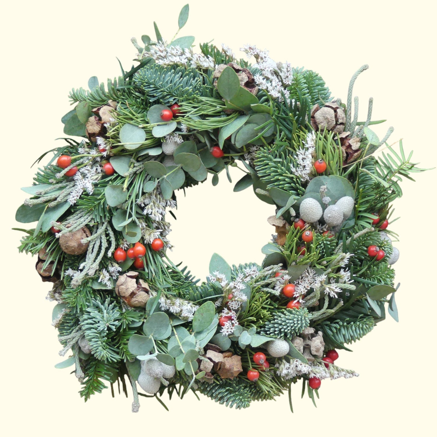 Eukalyptusfrische Winterwunder – Natürlich durch die Winterzeit