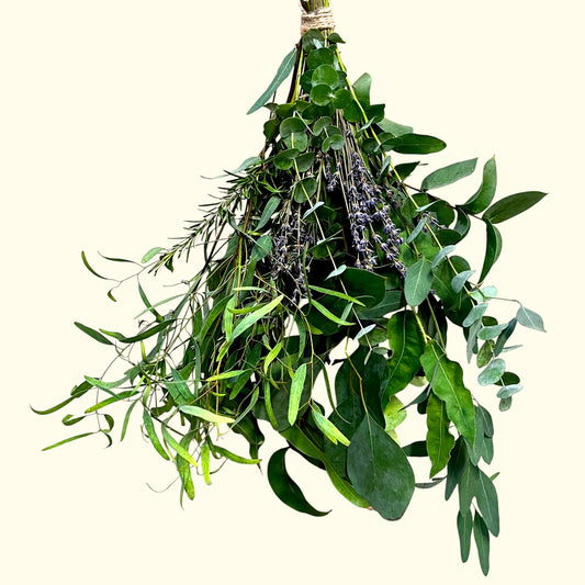 Eukalyptus Wellnessbund – Frische Natur für Dusche & Zuhause