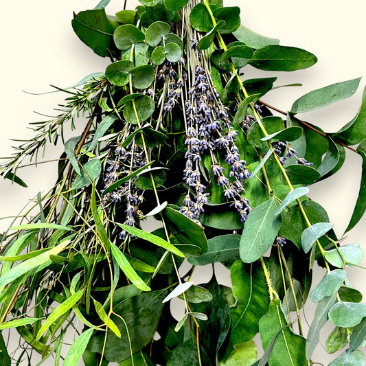 Eukalyptus Wellnessbund – Frische Natur für Dusche & Zuhause