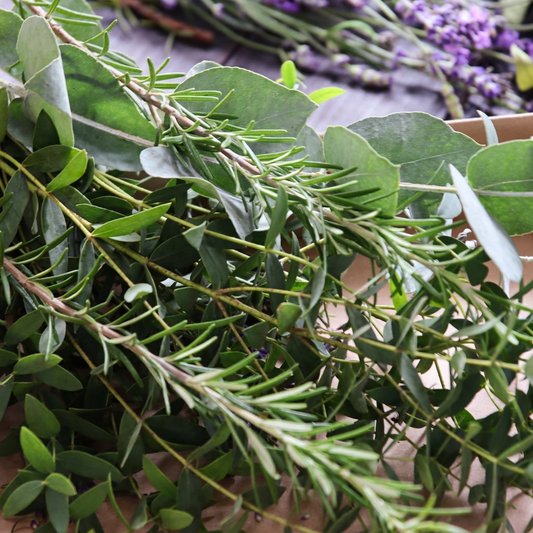 Eukalyptus Wellnessbund für Dusche und Bad