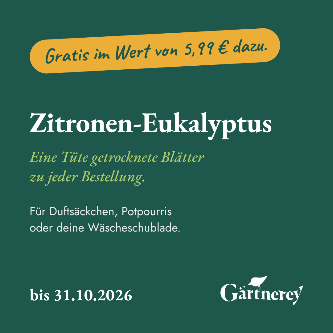 Gratis dazu bis 31.10.2026: eine Tüte getrocknete Zitronen-Eukalyptus-Blätter zu jeder Bestellung