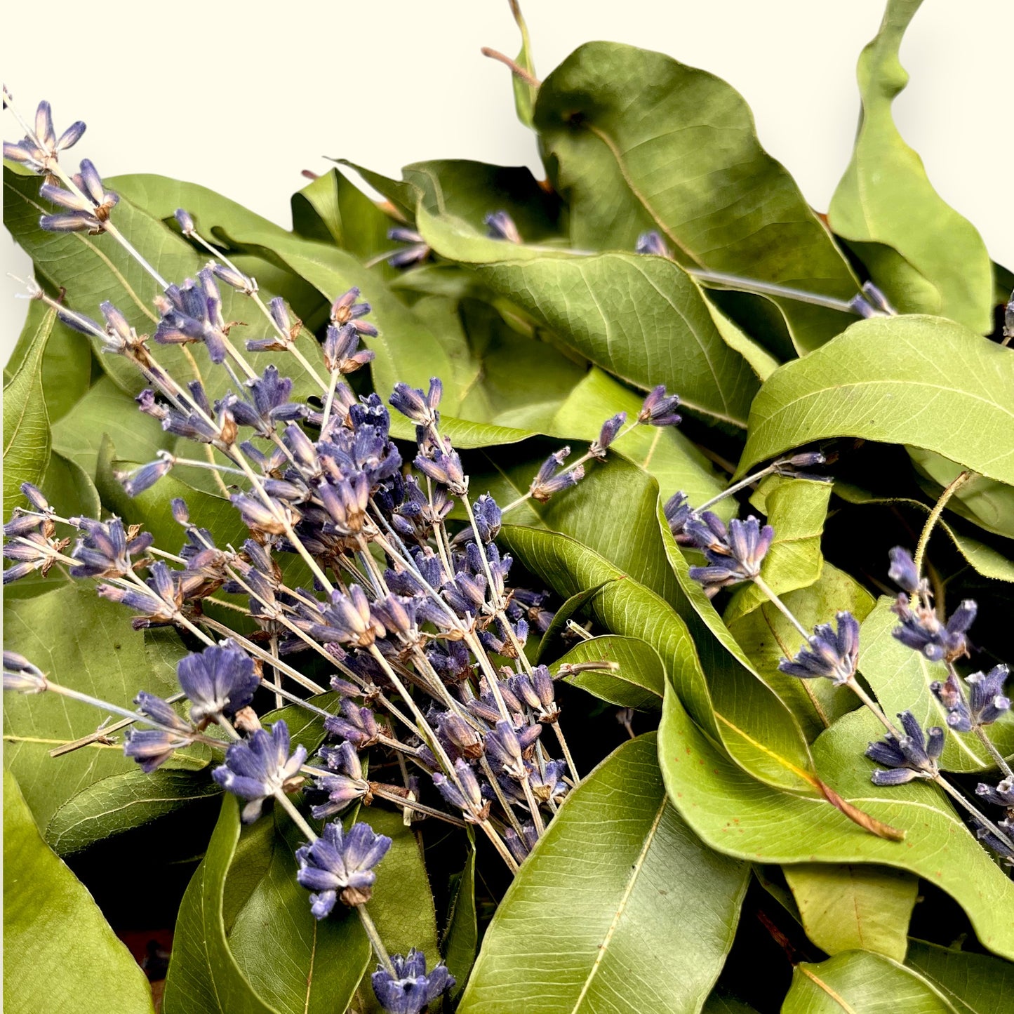 Natürliches Konfetti - Blatt & Duft aus der Gärtnerey