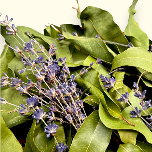 Natürliches Konfetti - Blatt & Duft aus der Gärtnerey