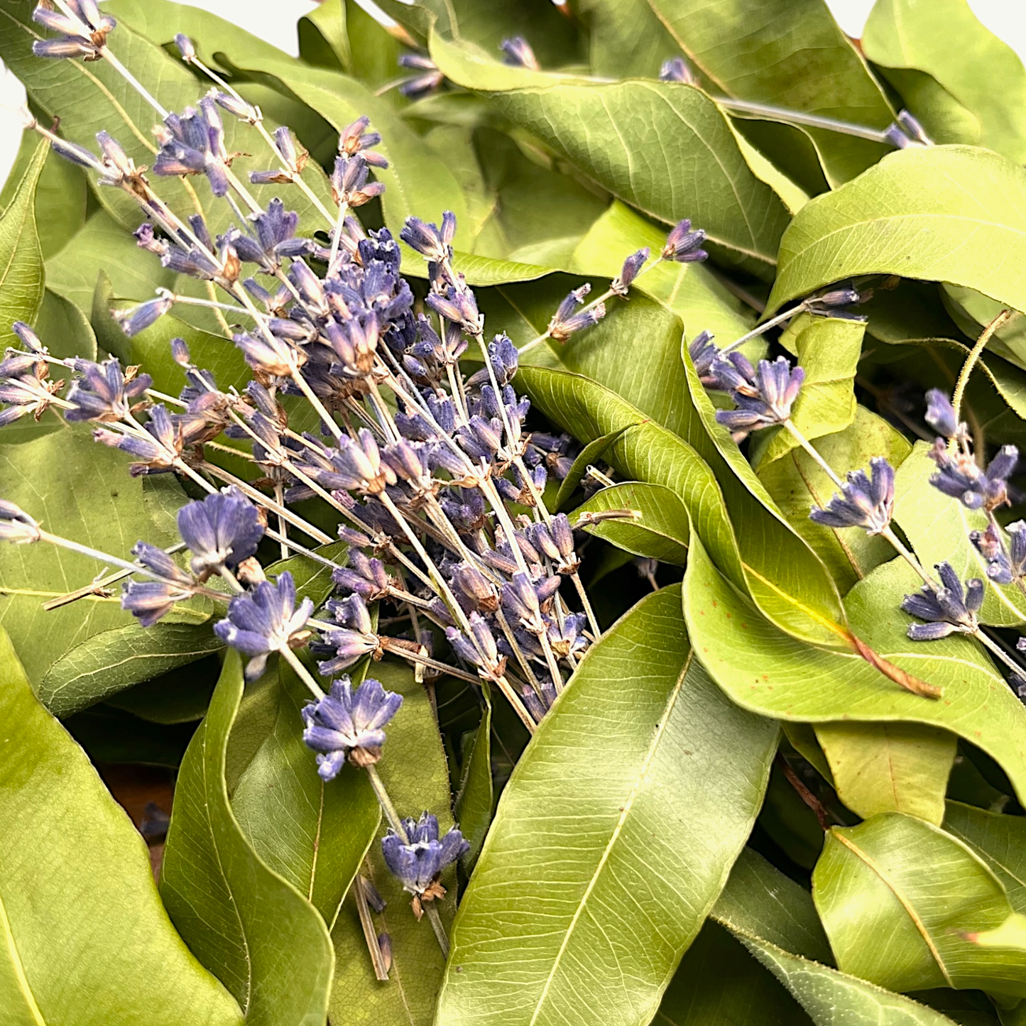 Natürliches Konfetti - Blatt & Duft aus der Gärtnerey