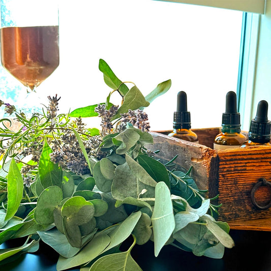 Eukalyptus Wellnessbund – Frische Natur für Dusche & Zuhause