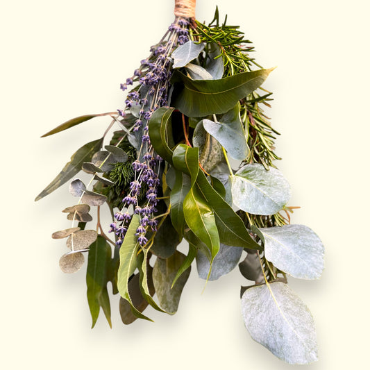 Eukalyptus Wellnessbund – Frische Natur für Dusche & Zuhause