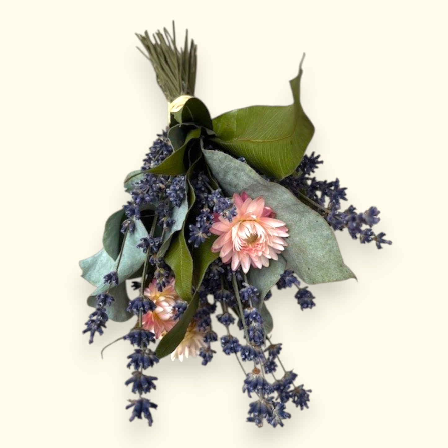 Frieda – Duftbund aus Eukalyptus & Lavendel