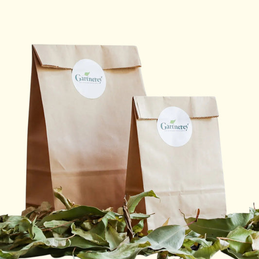 Getrockneter Zitroneneukalyptus – Aromatisch & Natürlich