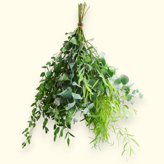 Eukalyptus Mix Collection