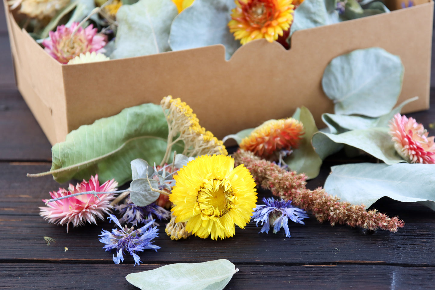 Natürliches Konfetti - Blatt & Blüten aus der Gärtnerey