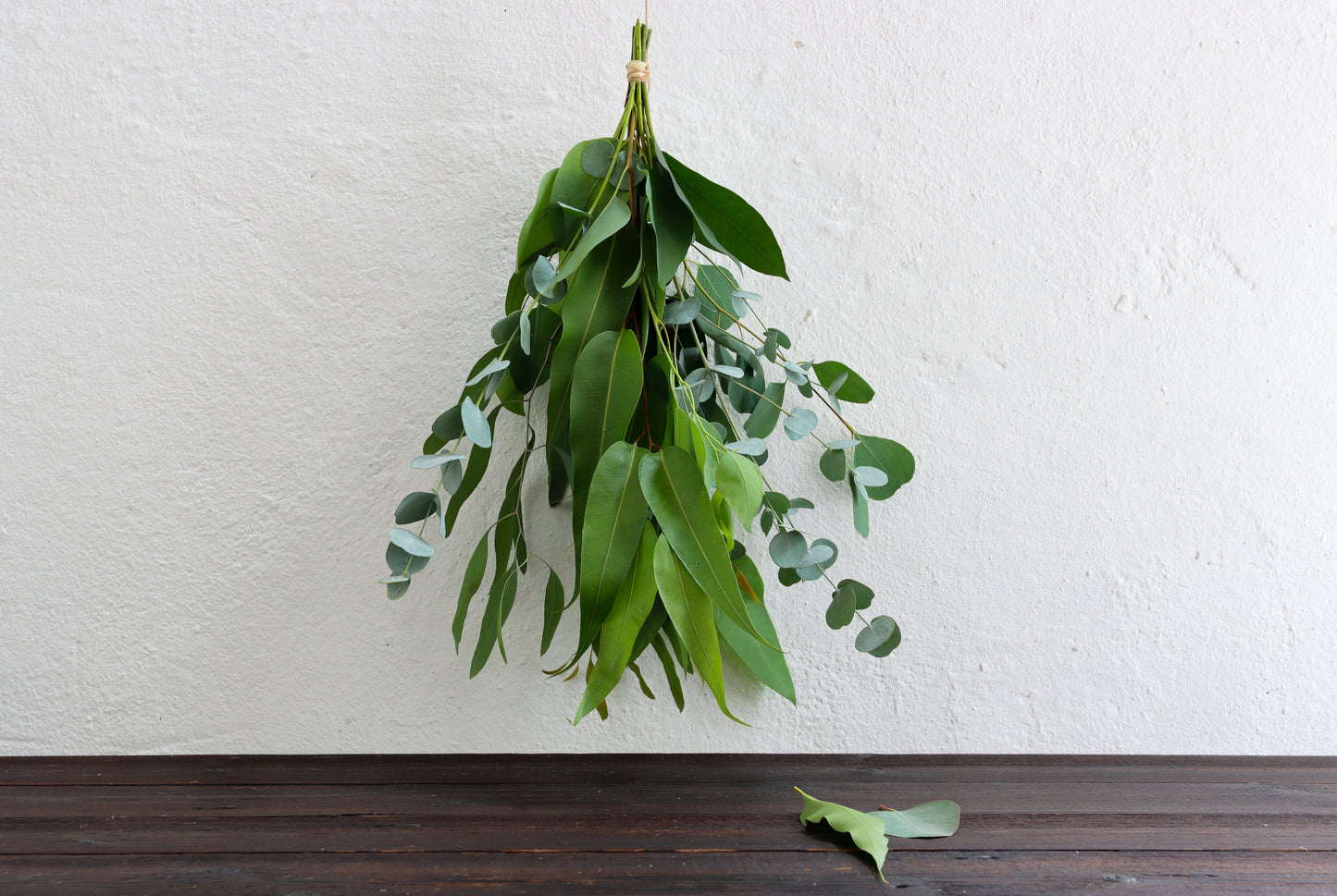 Eukalyptus Mix Collection