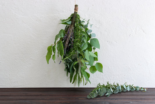 Eukalyptus Wellnessbund für Dusche und Bad